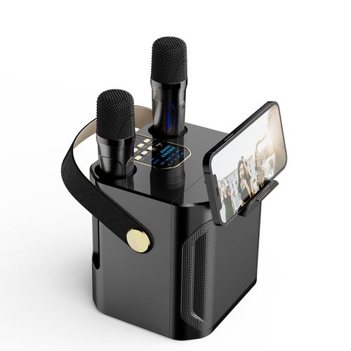 High Power Karaoke Bluetooth Speaker